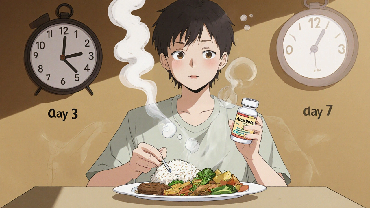 Acarbose and Miglitol: How to Manage Flatulence and GI Side Effects